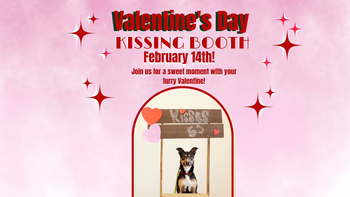 Valentine's Day Kissing Booth