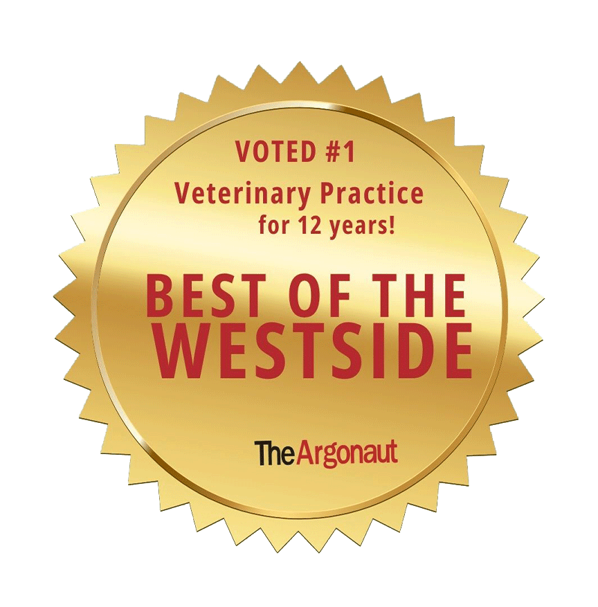 Best Veterinary Practice for 12 years of Westside, The Argonaut