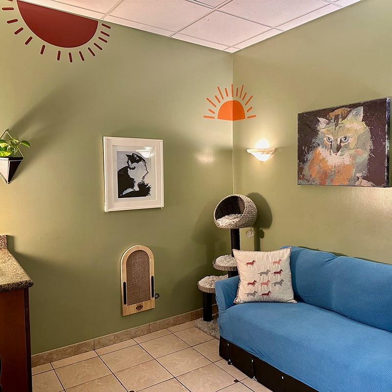 Shane Veterinary Medical Center in Marina del Rey