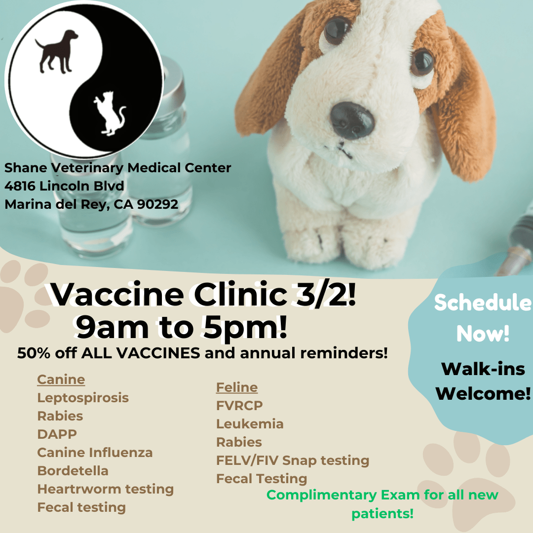 Vaccination Clinic